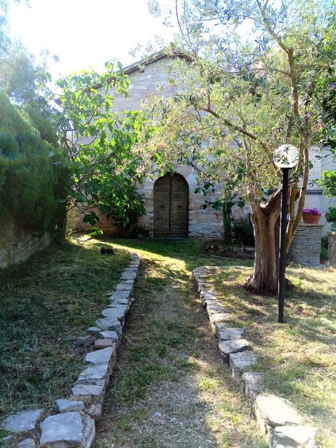 Residenza Messer Pajola Asyż Zewnętrze zdjęcie